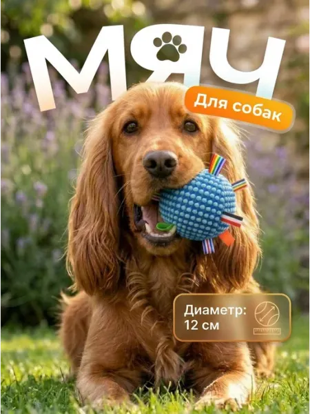 Игрушка-мяч для собак СПАНИ