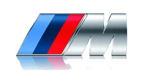 Термонаклейка на любую одежду (DTF) машина, бмв.