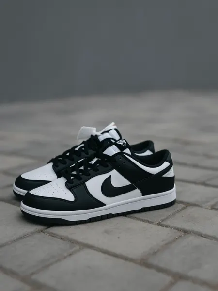Кроссовки для мужчин и женщин, Nike SB Dunk