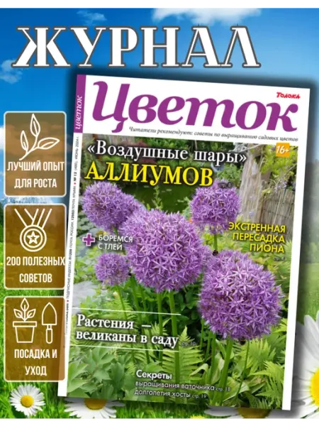 Журнал о садовых цветах № 12 24. Как пересадить пионы Цветок