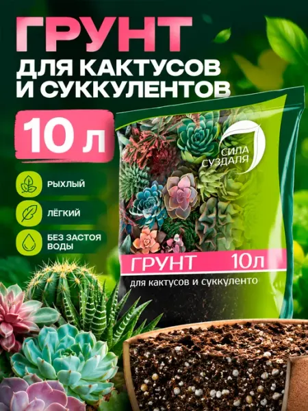 Грунт для суккулентов и кактусов комнатных цветов 10 литров Сила Суздаля