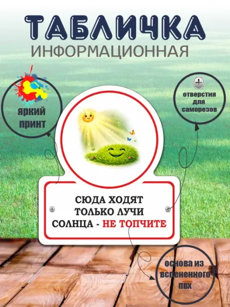 Табличка фигурная "Сюда ходят только лучи солнца не топчите"