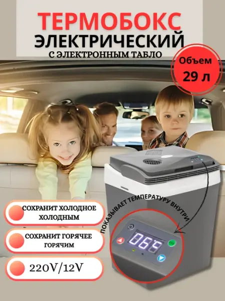 Холодильник автомобильный от прикуривателя и от сети Sundays