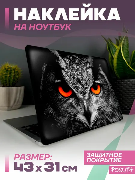 Наклейка на ноутбук защитная филин