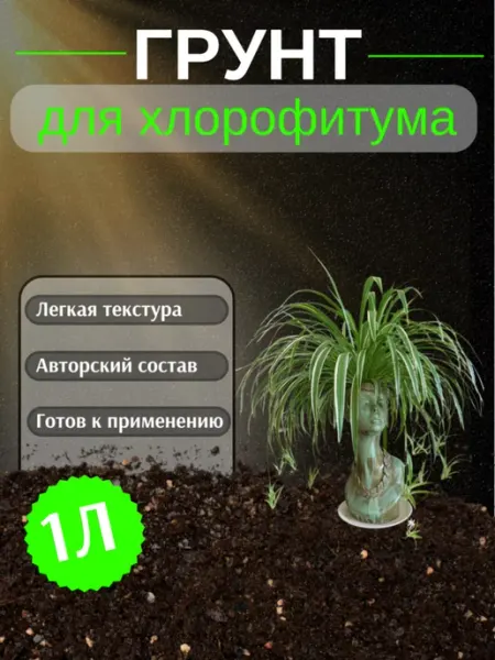 Грунт для Хлорофитума 1 л