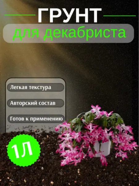 Грунт для Декабриста 1 л
