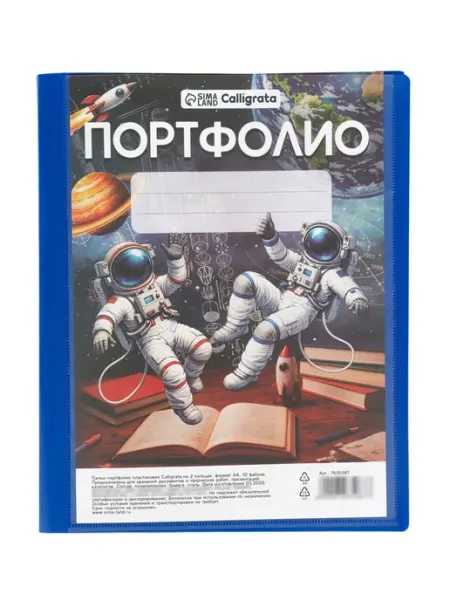 Папка-портфолио А4, пластиковая, 2 кольца, МИКС Calligrata