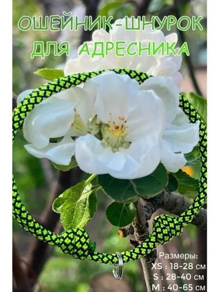 Ошейник-шнурок для адресника, NEON BLACK GREEN