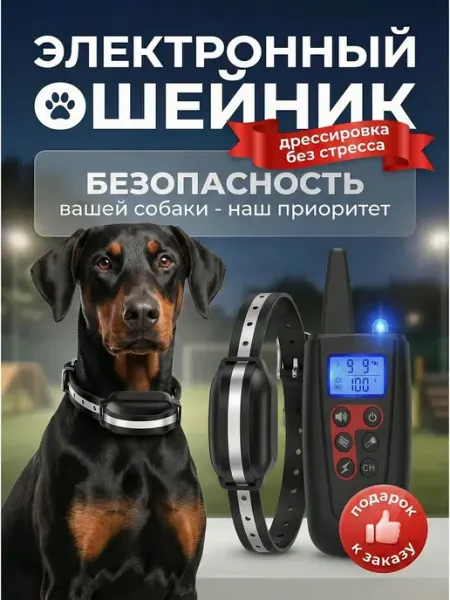 Ошейник для дрессировки собак