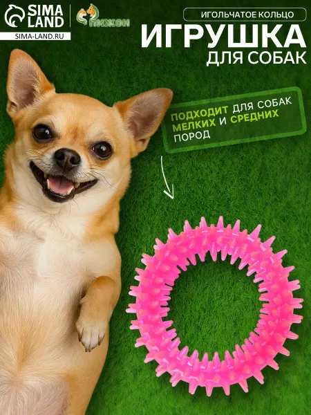Пижон Игрушка жевательная для собак кольцо