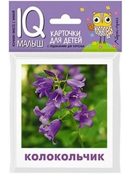 Умный малыш. Что растёт на клумбе? Айрис Пресс