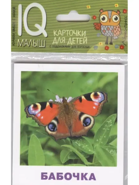 Умный малыш. Насекомые Айрис Пресс