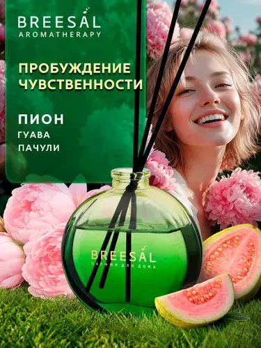 Диффузор для дома с палочками Breesal, 70 мл