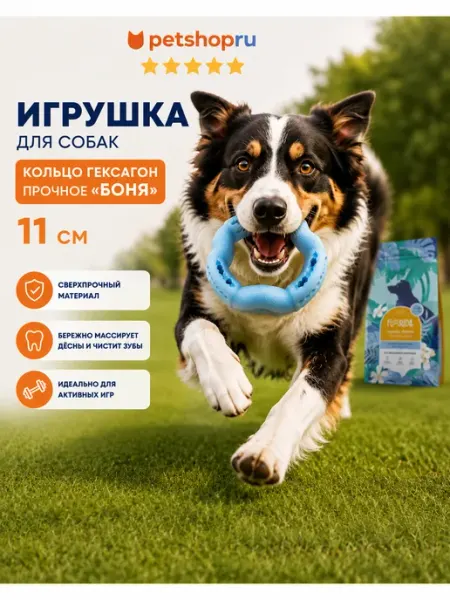 Игрушка для собак кольцо гексагон "Боня", 11 см PetShop