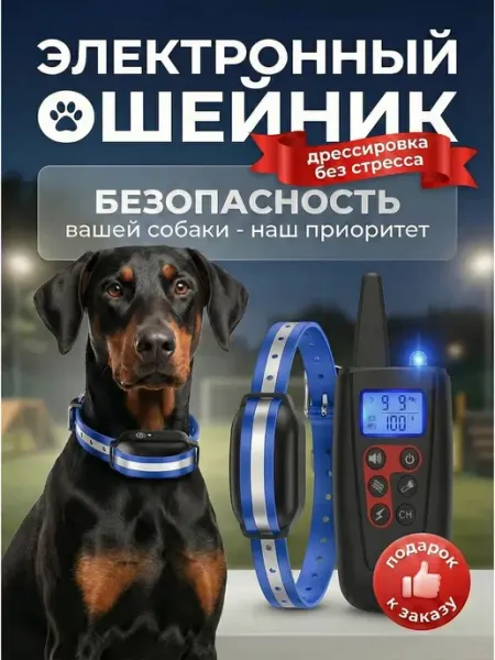 Ошейник для дрессировки собак