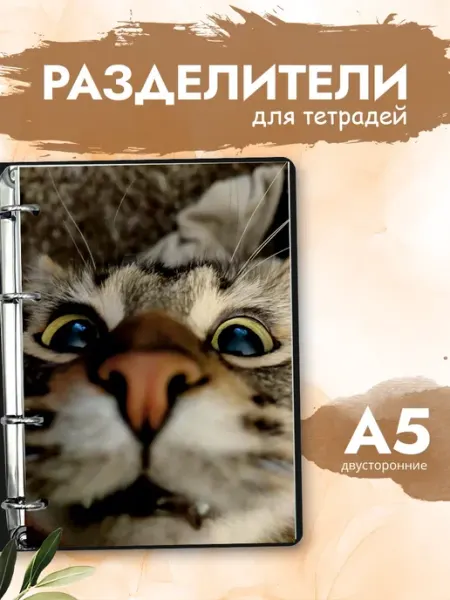 Разделители pinterest для тетради А5, коты из пинтерест ТипоБереста
