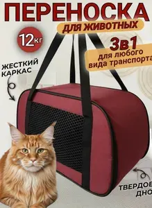 Переноска для животных. Переноска для кошек и собак Сумка для животных