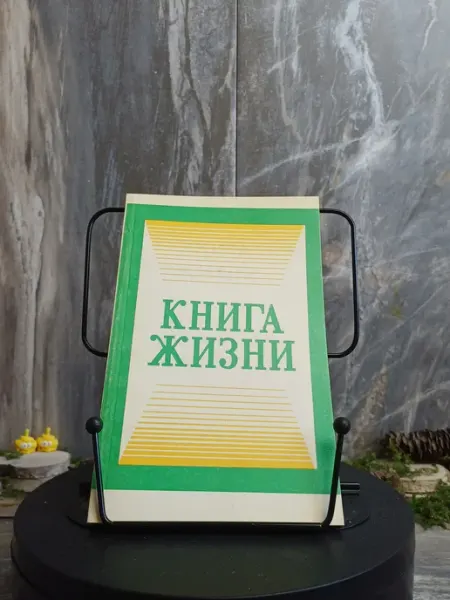 Книга жизни. (Арт.019) Книга.