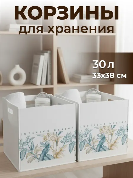 EVA Home Набор корзин для хранения, органайзеры в стеллаж 2 шт