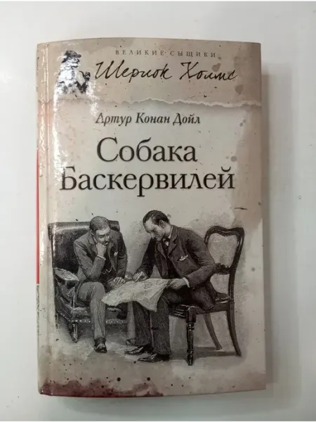 Собака Баскервилей ПЕТРОГЛИФ