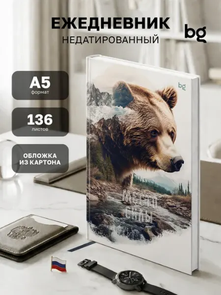 Ежедневник недатированный А5 BG
