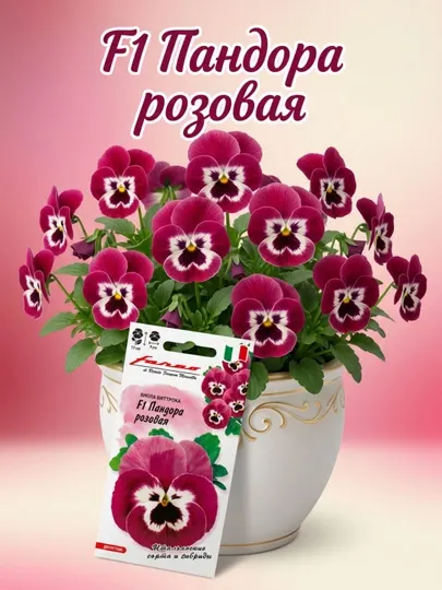 Семена Виола розовая F1, виттрока, 5 шт