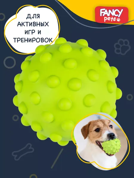 Fancy Pets Игрушка Мяч для собак и массажа