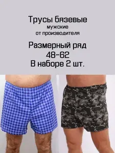Трусы шорты Текстиль От Михаила, 2 шт
