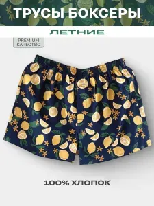 Трусы боксеры Hanz, 1 шт