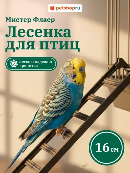 Mr. Flyer Лесенка для птиц серая Мистер Флаер