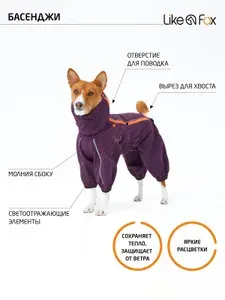 Комбинезон для басенджи демисезонный Like a Fox, фиолетовый р. L