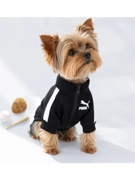Одежда толстовка для собак и кошек animals on style