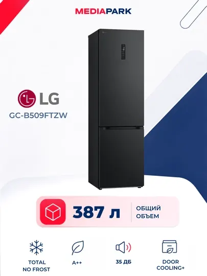 Холодильник LG GC-B509FTZW