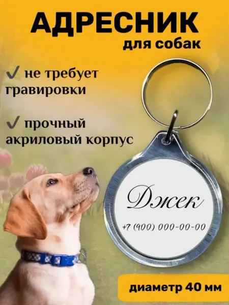 Адресник для собаки, брелок на ошейник с адресом Casuar