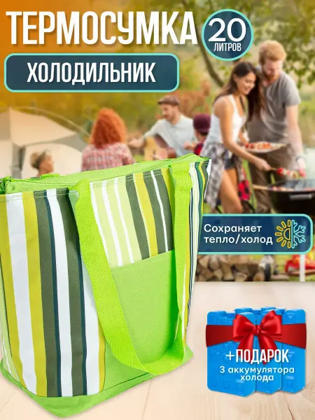 Green Glade Сумка холодильник с аккумуляторами холода 22л