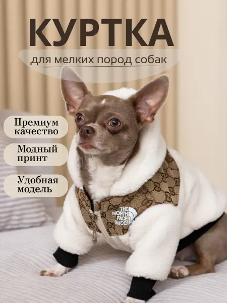 D Group Куртка для собак мелких пород