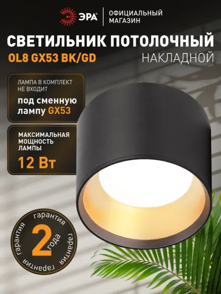 ЭРА Светильник потолочный накладной точечный спот GX53