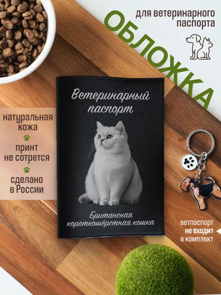 Russian.Handmade Обложка на вет паспорт Британская короткошерстная кошка