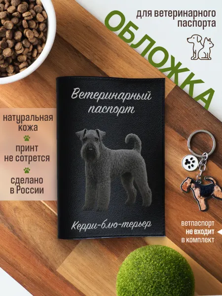 Russian.Handmade Обложка на ветеринарный паспорт для собак Керри-блю-терьер