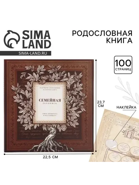 Элегантная книга для семейной истории с рамкой
