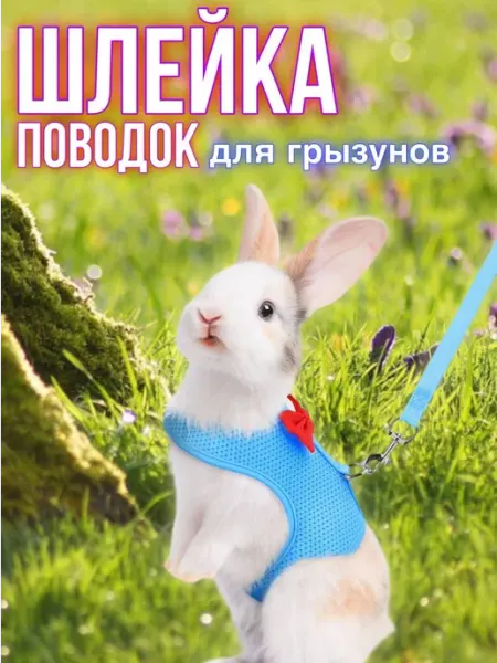 Шлейка поводок для кроликов для кошек Pets