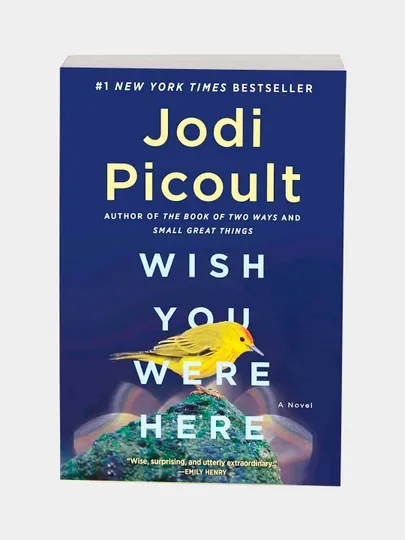 Wish You Were Here. Jodi Picoult