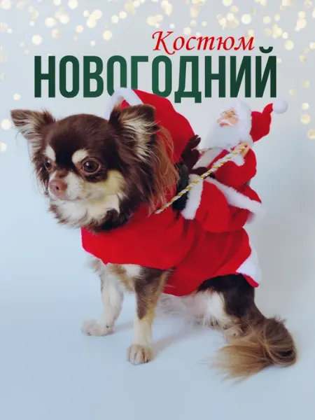 HoneyPet Новогодний костюм для кошек и собак