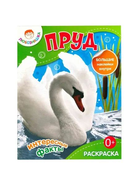 РИПОЛ Классик Любознашка. Пруд. Раскраска