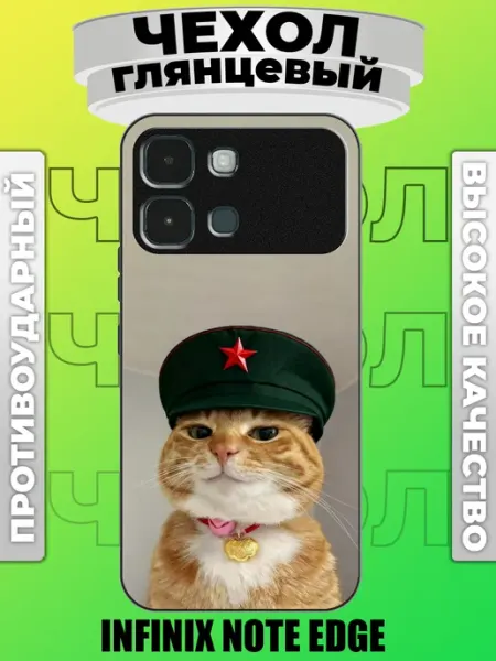 Чехол на Infinix Note Edge котик pinNETcase