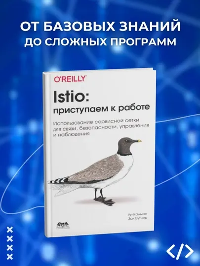 Istio: приступаем к работе. Ли Калькот, Зак Бутчер. Программирование
