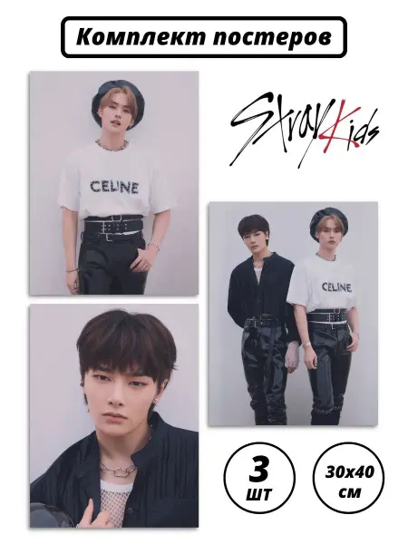 Poster808 Постеры stray kids k-pop Джисон Сынмин, карточки стрей кидс