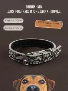 Ошейник кожаный для собак мелких пород