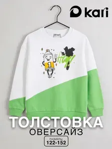 Свитшот Kari для мальчика подростка теплый