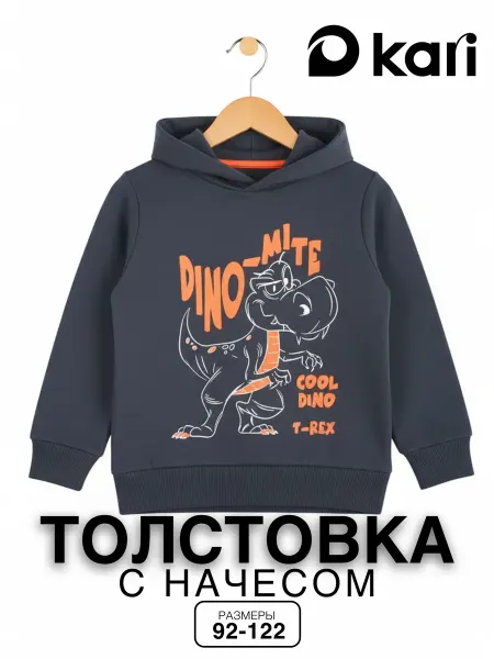 KariKids Худи для мальчика серое с начесом